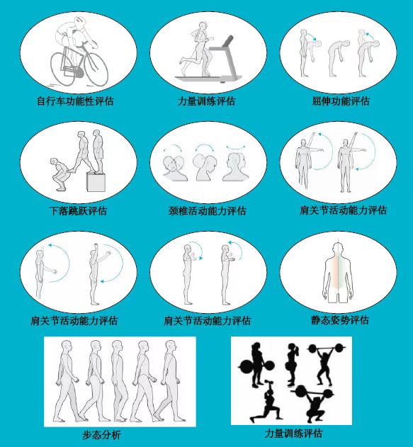 功能性评估