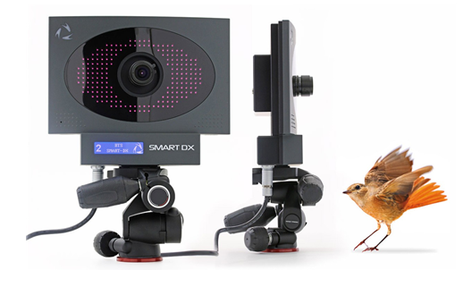 无标记动作捕捉系统 无标记动作捕捉系统